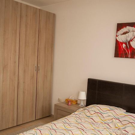 Diana'S Apartment Braşov Buitenkant foto